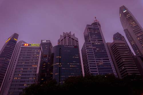 office building low-angle photo of buildings singapore